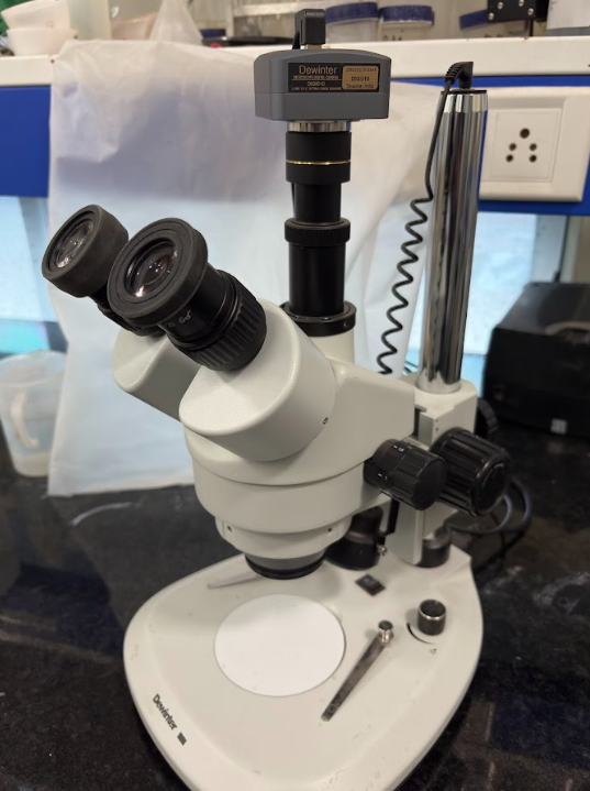 Optical microscope